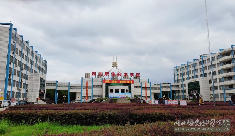 图片5